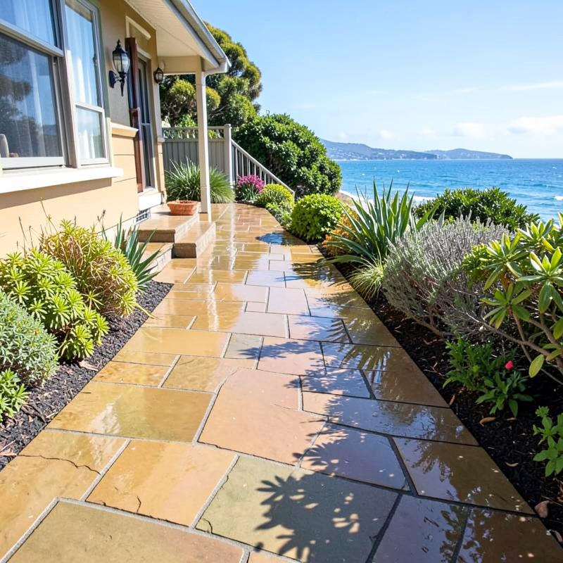 Sandstone pathway cleaned beside a Sydney home
